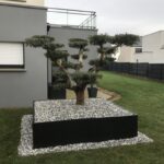 Concept Garden Paysagiste Rennes Concept Garden Paysagiste Rennes IMG 110
